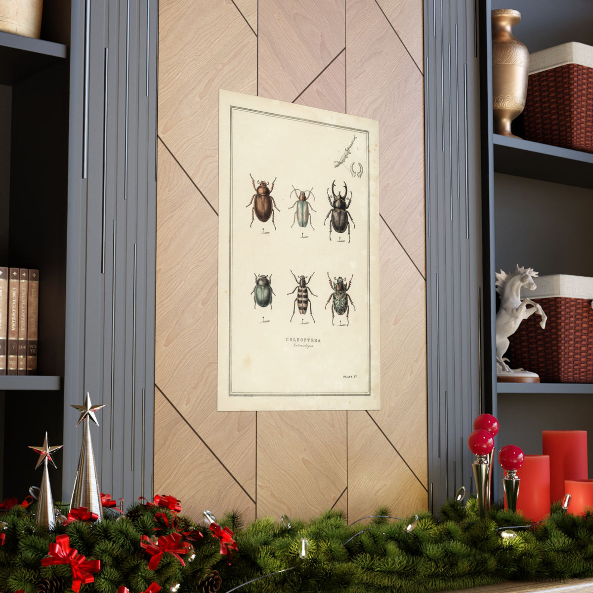 Beetle Wall Art, Vintage Entomology Print, Curiosity Cabinet Decor