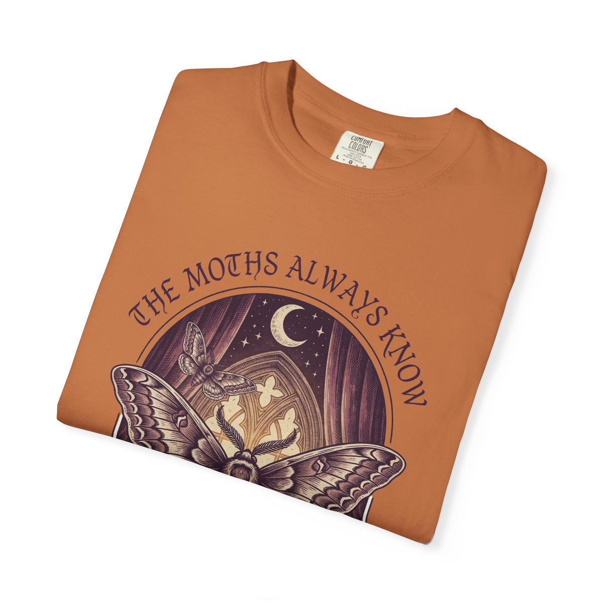 Death Moth Shirt, Gothic Luna Moth Tee, Dark Academia Witchy Gift