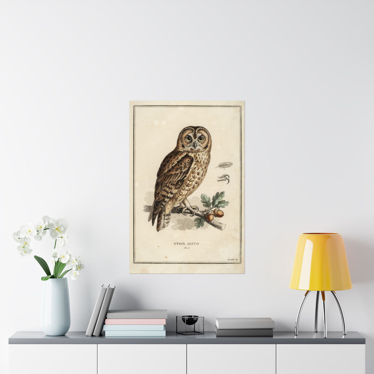 Owl Wall Art, Vintage Bird Print, Woodland Nursery Home Decor