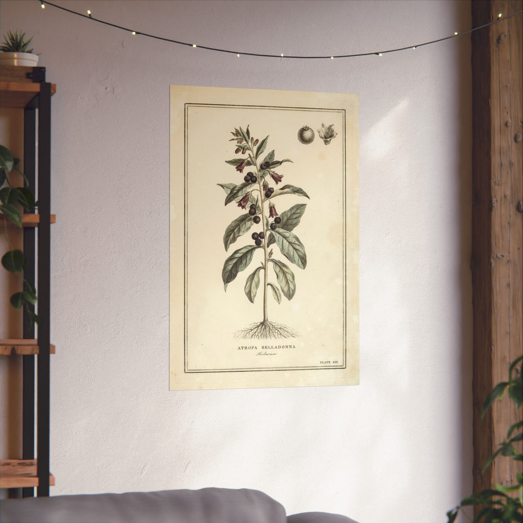 Belladonna Botanical Print, Vintage Herbarium Plate Art