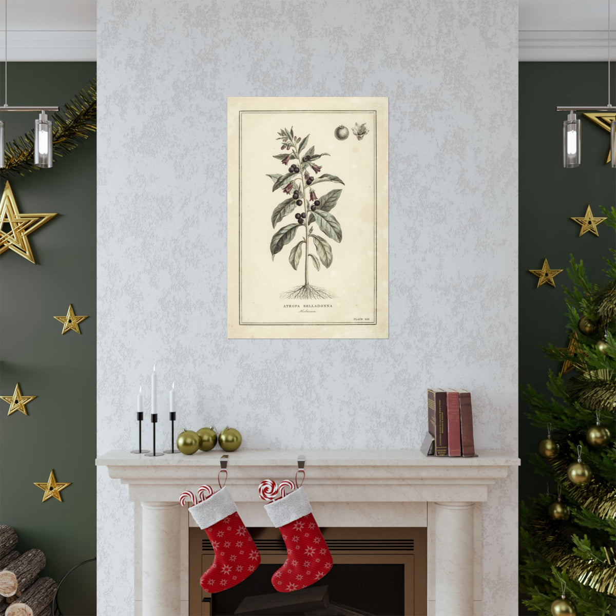Belladonna Botanical Print, Vintage Herbarium Plate Art